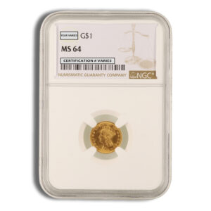 $1 Gold Indian Type 3 - NGC MS64